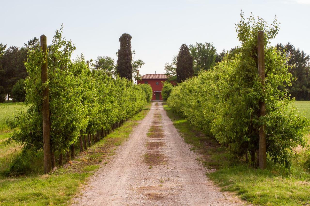La Centuria Societa Agricola Casa Vacanze Terzo d' Aquileia Dış mekan fotoğraf